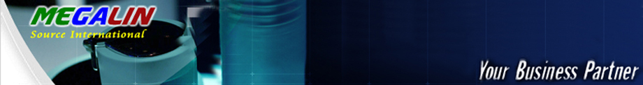 MegalinSource Company Website